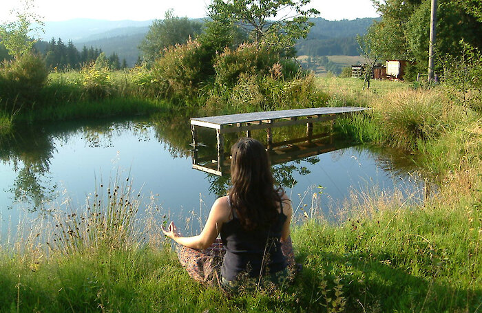 Bayerischer Wald